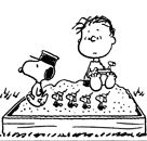 Rerun van Pelt | Peanuts Wiki | Fandom