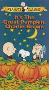 It'stheGreatPumpkinCharlieBrownSlipcoverVHS