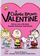 Peanuts-A-Charlie-Brown-Valentine-1-.jpg (60 KB) 2011 DVD cover