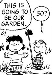 Lucy Rerun Garden