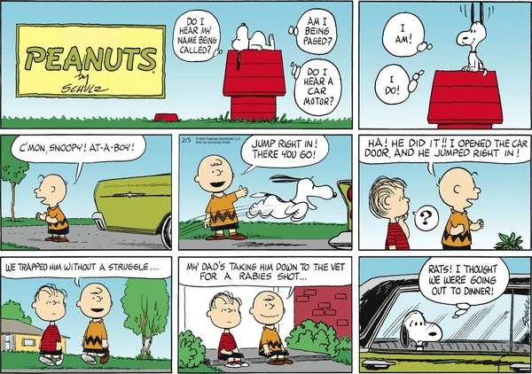 February 1965 comic strips | Peanuts Wiki | Fandom