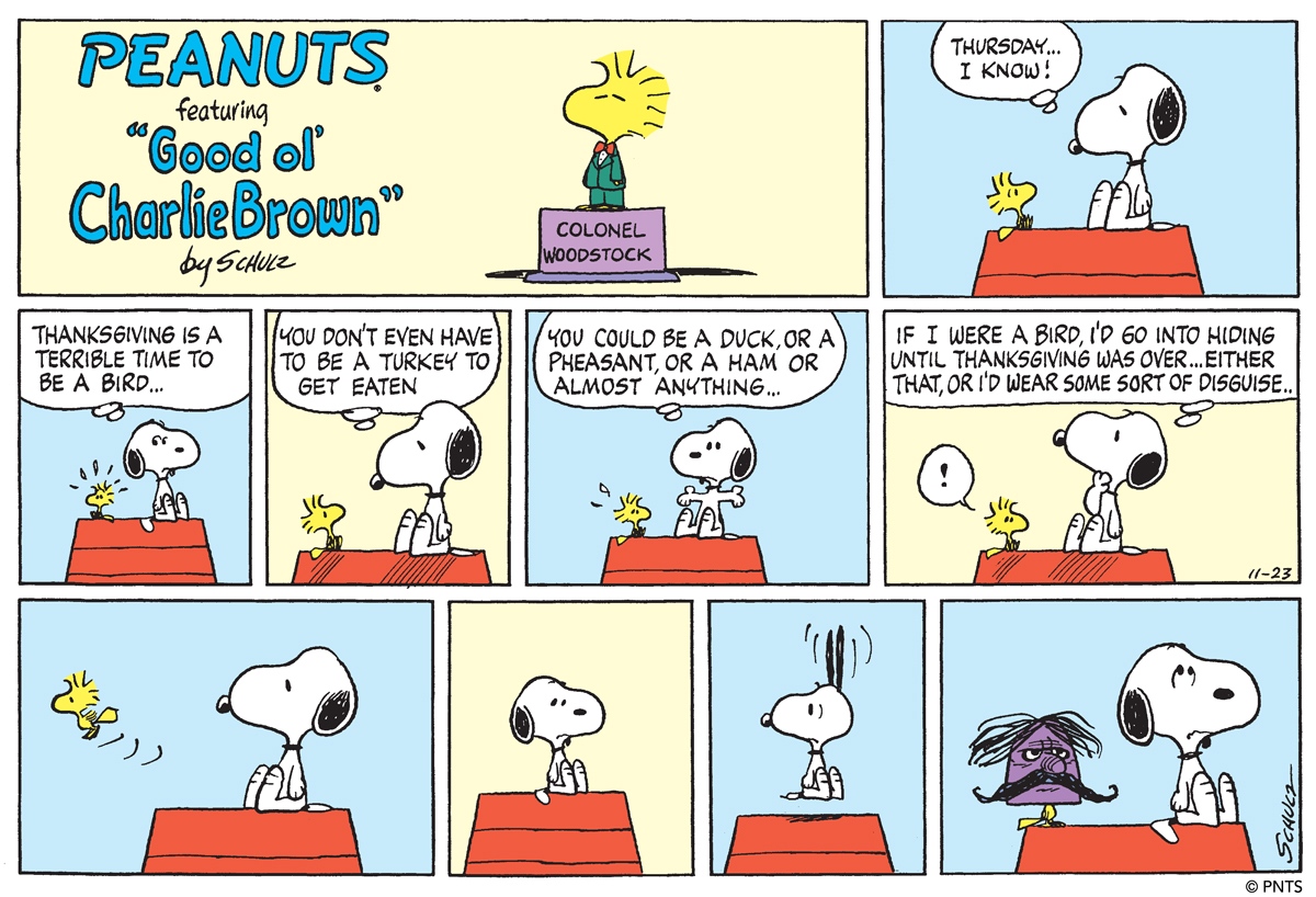 November 1975 comic strips | Peanuts Wiki | Fandom