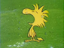 What is the Name of the Bird in Charlie Brown: Ultimate Guide