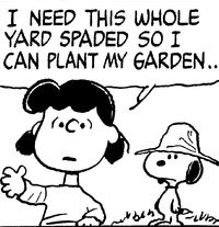 Lucy Snoopy Garden