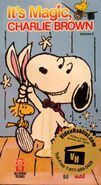Itsmagiccharliebrownvhs.jpg (184 KB)