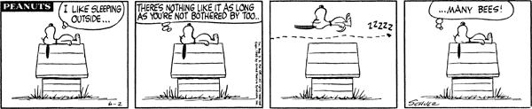 19600602.gif