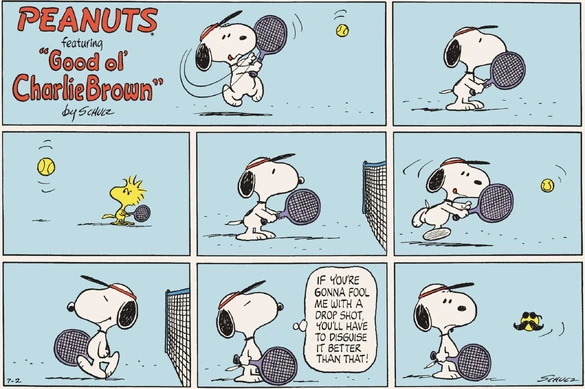 July 1978 comic strips | Peanuts Wiki | Fandom
