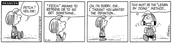 Ace Obedience School | Peanuts Wiki | Fandom