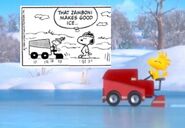 Schulz loved zambonis. They are referred to in several comic strips.