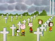 What Have We Learned, Charlie Brown (22)