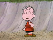 What Have We Learned, Charlie Brown (18)