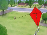 The Kite