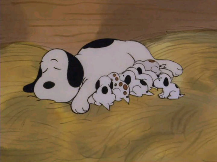 how old is snoopy the dog from charlie brown