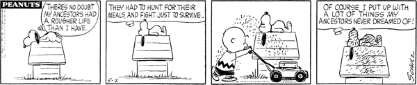 19620502.gif