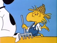 Farmer Woodstock.jpg (23 KB) Farmer Woodstock