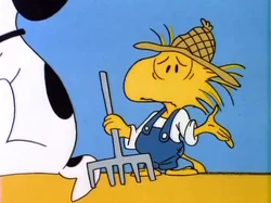 What is the Name of the Bird in Snoopy: Discover Woodstock Now!