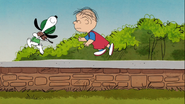 Rerun tries to chase a Leprechaun Beagle in the brick wall but he was about to fall