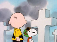 What Have We Learned, Charlie Brown (21)