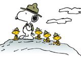Snoopy's Beagle Scouts