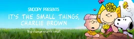 Its The Small Things Charlie Brown