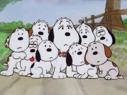 Snoopy S Siblings Peanuts Wiki Fandom Snoopy S Siblings Peanuts Wiki Fandom