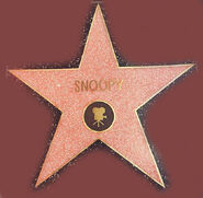 Snoopy's Star On The Hollywood Walk Of Fame