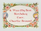 It Was My Best Birthday Ever, Charlie Brown
