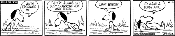 19580602.gif