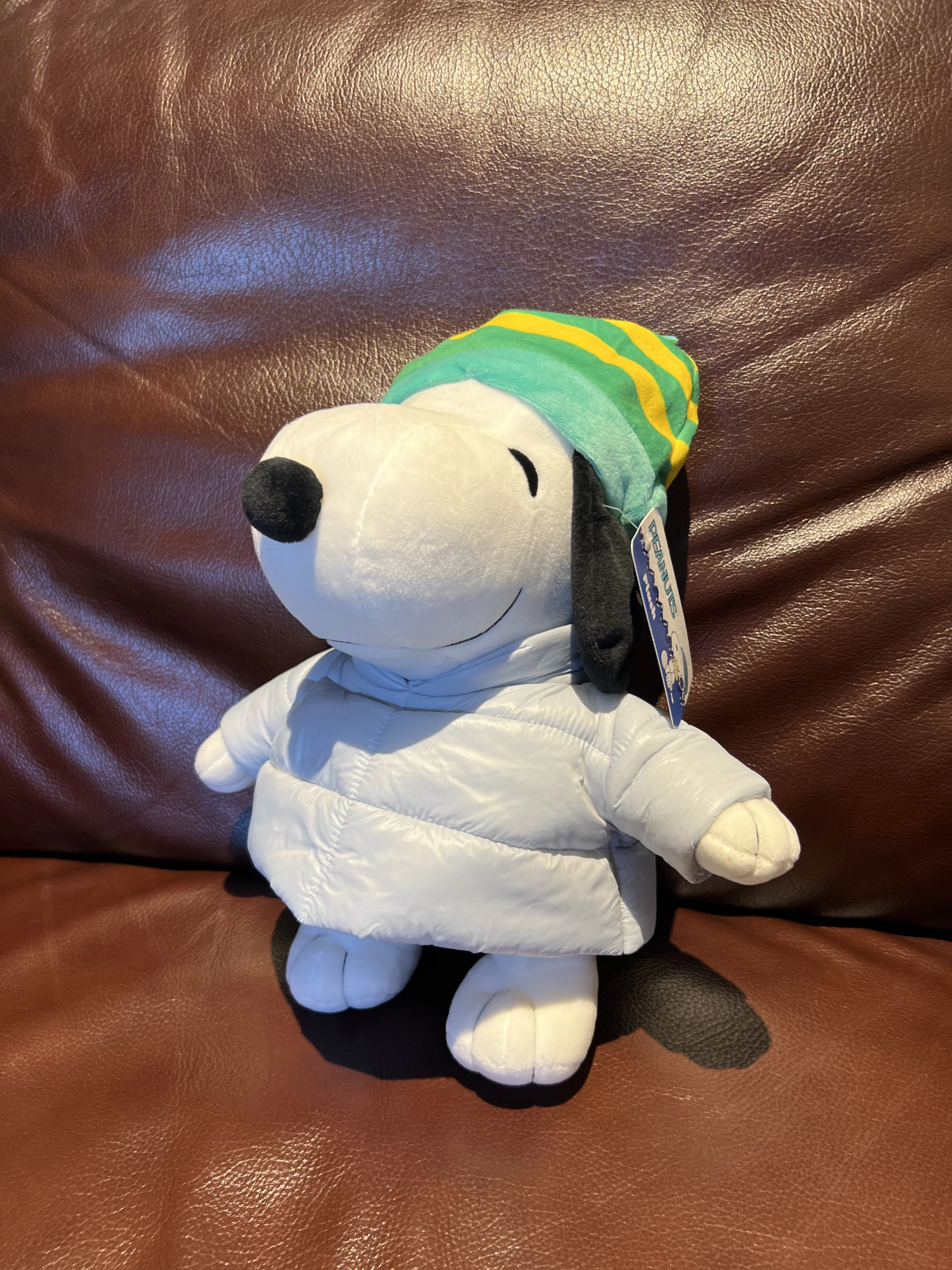 Puffer Jacket Snoopy | Peanuts Wiki | Fandom