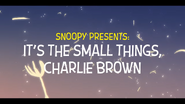 It's the Small Things Charlie Brown title