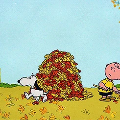 It S The Great Pumpkin Charlie Brown Peanuts Wiki Fandom It S The Great Pumpkin Charlie Brown Peanuts Wiki Fandom