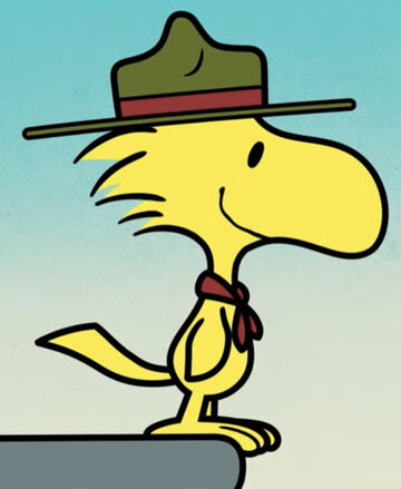Peanuts woodstock hat sale