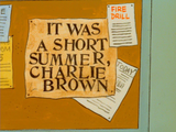 It Was a Short Summer, Charlie Brown