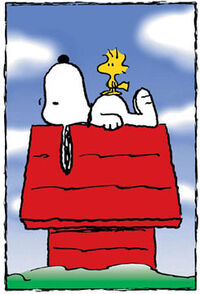 Snoopy And Woodstock S Relationship Peanuts Wiki Fandom