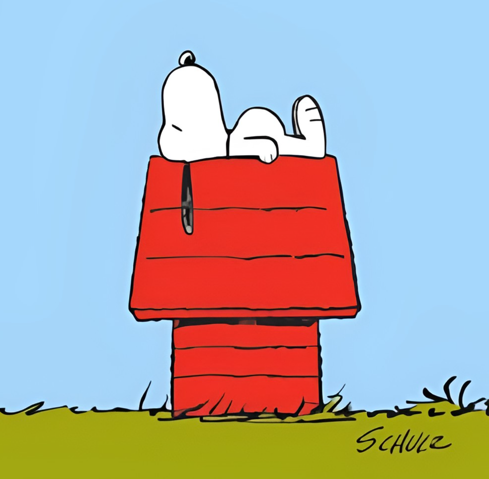 Snoopy's doghouse Peanuts Wiki Fandom