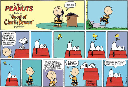 peanuts happy birthday