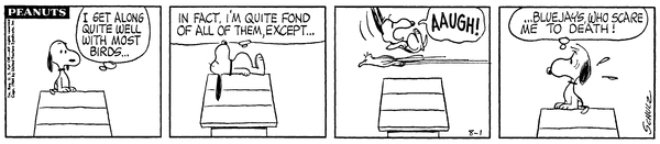 19640801.gif