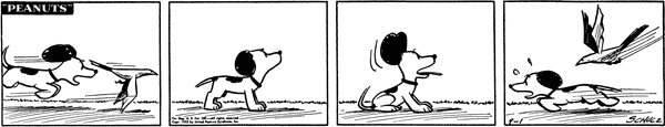 19530901.gif