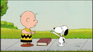 Snoopy shows Charlie Brown his card
