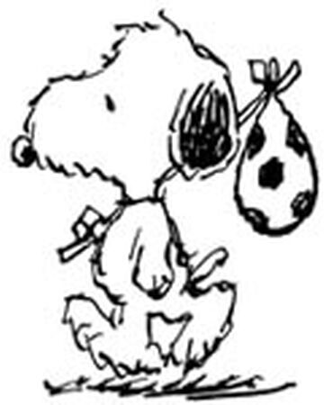 Andy Peanuts Wiki Fandom