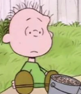 The Charlie Brown and Snoopy Show