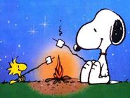 Snoopy and Woodstock camping