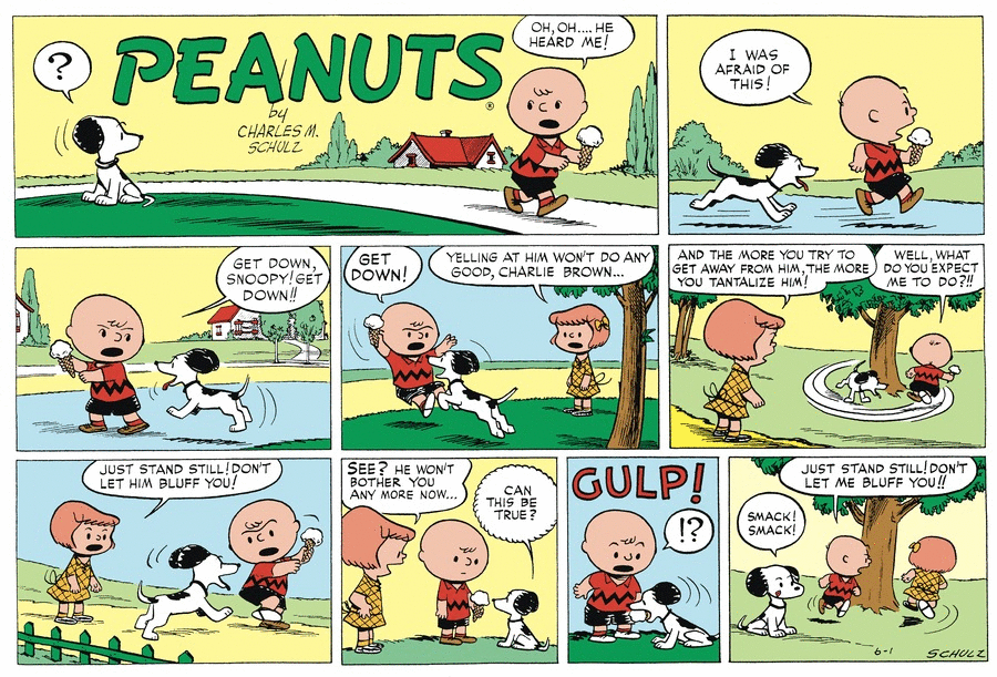 June 1952 comic strips Peanuts Wiki Fandom