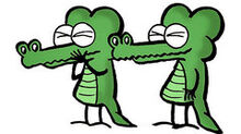 Pb-crocsjpg-ffd25c3bcfd71367 medium.jpg