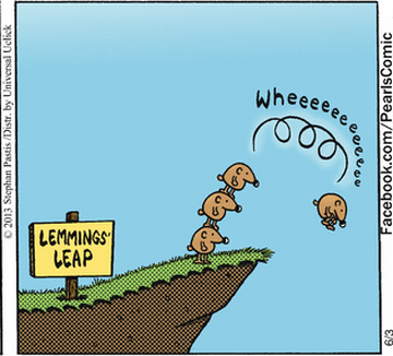 Do lemmings actually jump off of cliffs?