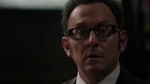 POI 0308 Finch1