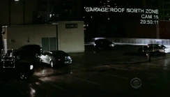 Reese-shot2.jpg (37 KB)