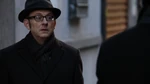 POI 0419 Finch