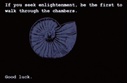POI 0402 Nautilus message.png