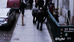 Root-capture 2.jpg (53 KB)